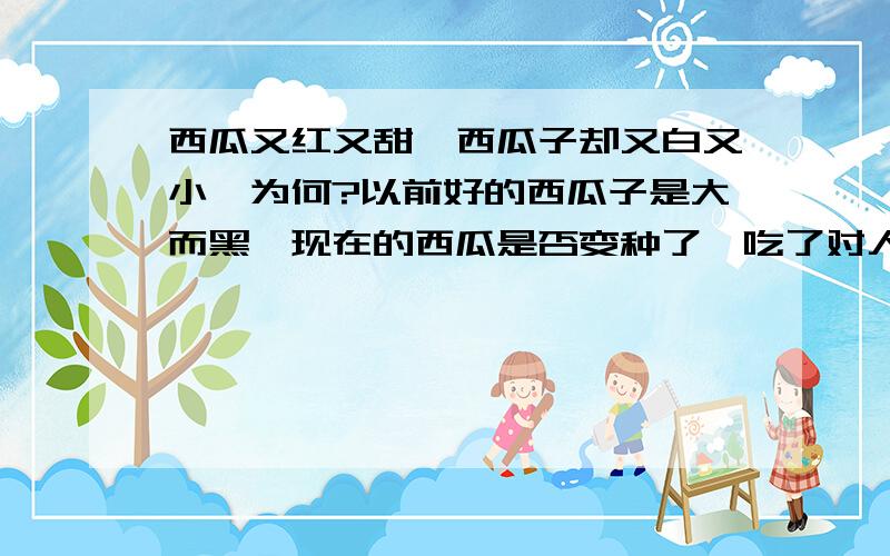 西瓜又红又甜,西瓜子却又白又小,为何?以前好的西瓜子是大而黑,现在的西瓜是否变种了,吃了对人体是否有害?