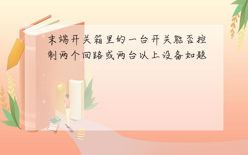 末端开关箱里的一台开关能否控制两个回路或两台以上设备如题