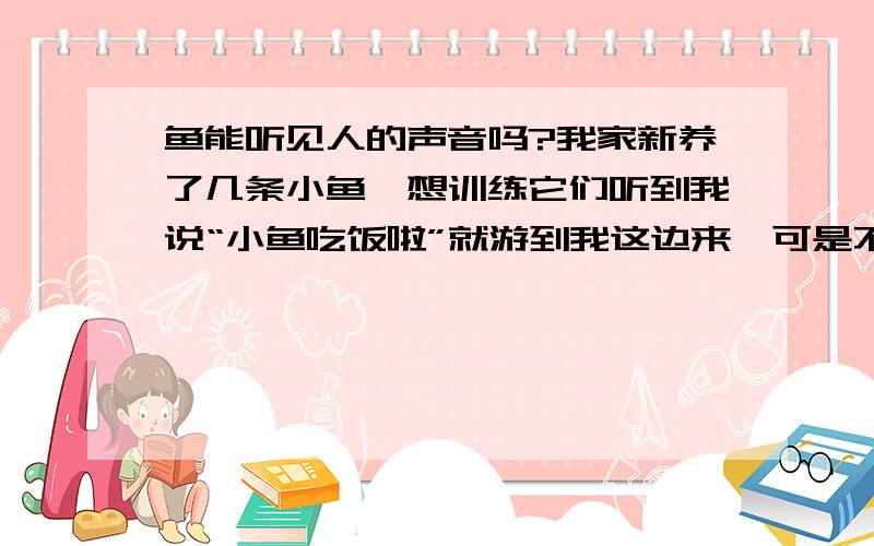 鱼能听见人的声音吗?我家新养了几条小鱼,想训练它们听到我说“小鱼吃饭啦”就游到我这边来,可是不知道它们能不能听见我的声音…求解,