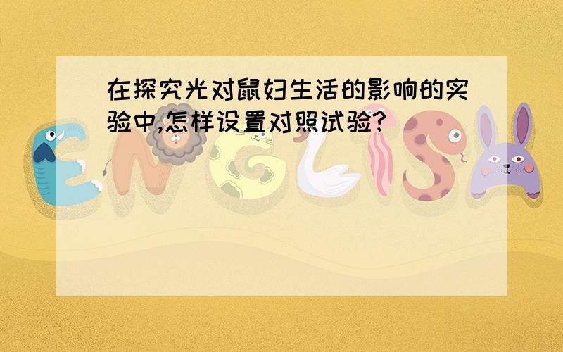 在探究光对鼠妇生活的影响的实验中,怎样设置对照试验?