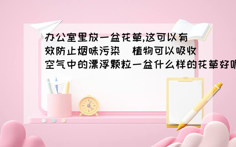 办公室里放一盆花草,这可以有效防止烟味污染(植物可以吸收空气中的漂浮颗粒一盆什么样的花草好呢?