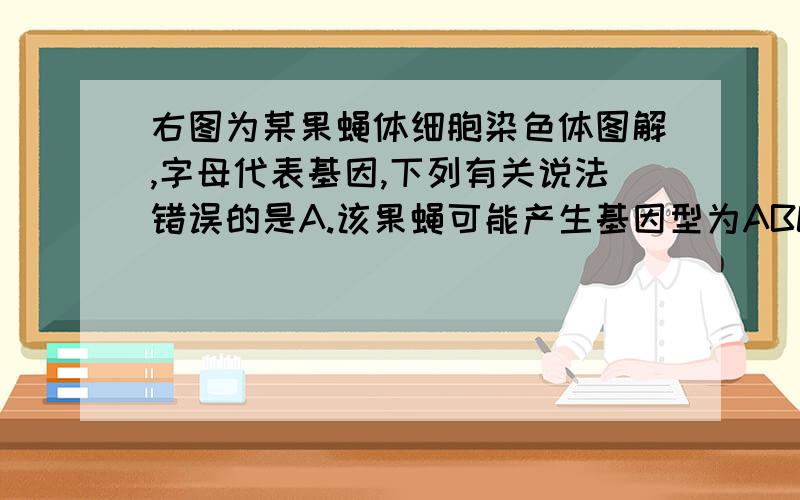 右图为某果蝇体细胞染色体图解,字母代表基因,下列有关说法错误的是A.该果蝇可能产生基因型为ABCXD的配子B.该果蝇减数分裂时能形成4个四分体C.该果蝇共有8条染色体,2个染色体组D.另外一种