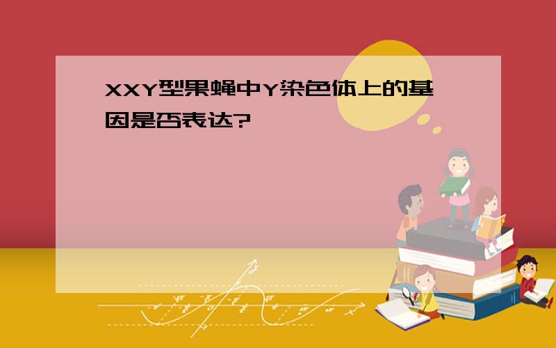 XXY型果蝇中Y染色体上的基因是否表达?