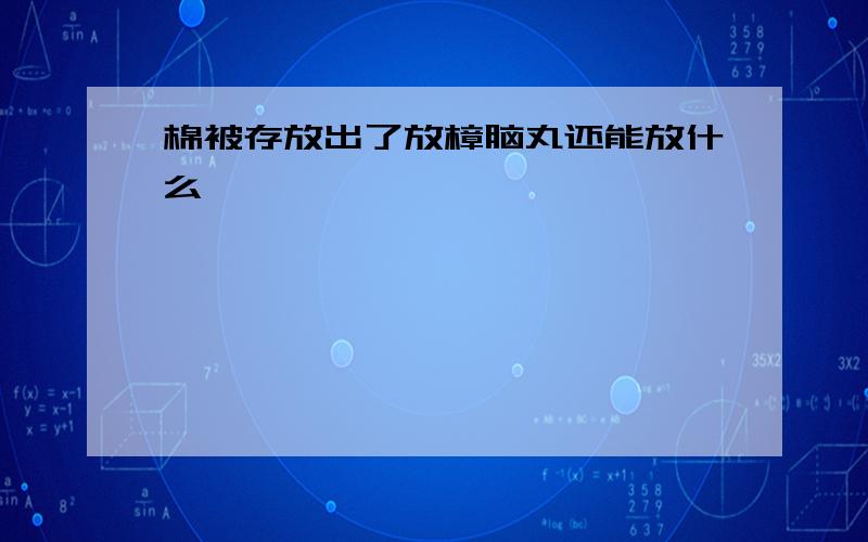 棉被存放出了放樟脑丸还能放什么