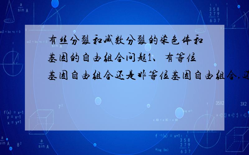 有丝分裂和减数分裂的染色体和基因的自由组合问题1、有等位基因自由组合还是非等位基因自由组合,还是2者都有,若有,麻烦列出是在同源染色体还是非同源染色体上的分别什么时期（若只