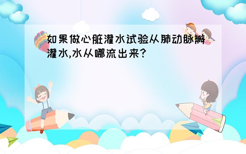 如果做心脏灌水试验从肺动脉瓣灌水,水从哪流出来?