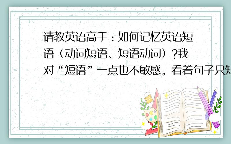 请教英语高手：如何记忆英语短语（动词短语、短语动词）?我对“短语”一点也不敏感。看着句子只知道新单词，感觉不到短语的存在怎么办？（特别是对于“短语动词”）