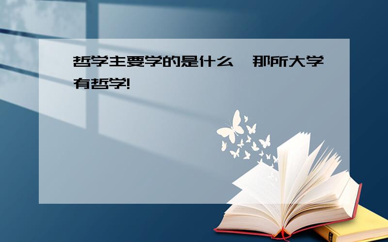 哲学主要学的是什么,那所大学有哲学!