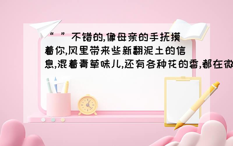 “ ”不错的,像母亲的手抚摸着你,风里带来些新翻泥土的信息,混着青草味儿,还有各种花的香,都在微微湿