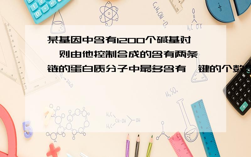 某基因中含有1200个碱基对,则由他控制合成的含有两条肽链的蛋白质分子中最多含有肽键的个数是?