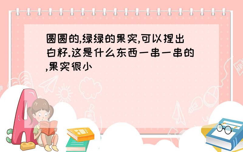 圆圆的,绿绿的果实,可以捏出白籽.这是什么东西一串一串的,果实很小