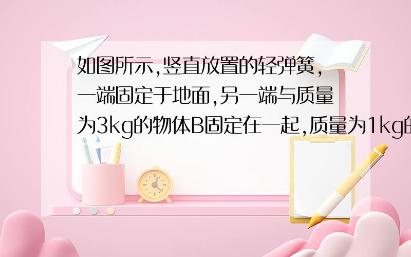 如图所示,竖直放置的轻弹簧,一端固定于地面,另一端与质量为3kg的物体B固定在一起,质量为1kg的物体A置于B的正上方5cm处静止．现让A自由下落（不计空气阻力）,和B发生碰撞,碰撞时间极短,碰