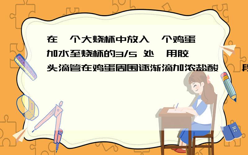 在一个大烧杯中放入一个鸡蛋,加水至烧杯的3/5 处,用胶头滴管在鸡蛋周围逐渐滴加浓盐酸,一段时间后发现鸡蛋周围逐渐形成一层气泡,鸡蛋慢慢上浮到水面处①提出问题：鸡蛋为什么会上浮?