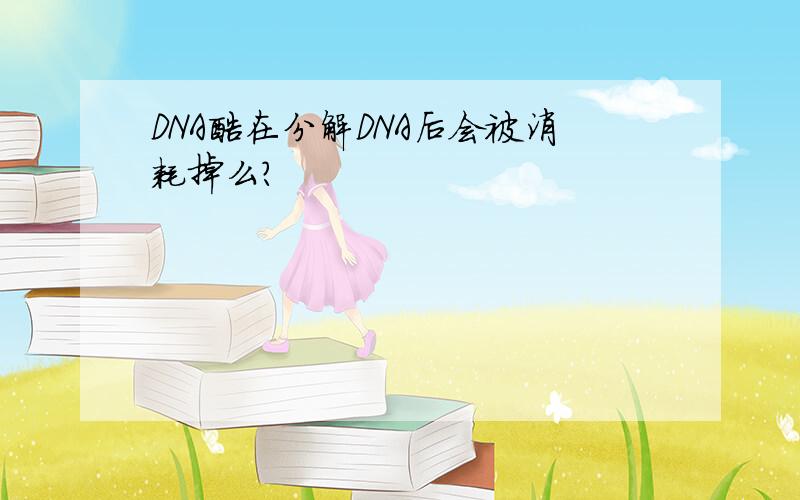 DNA酶在分解DNA后会被消耗掉么?