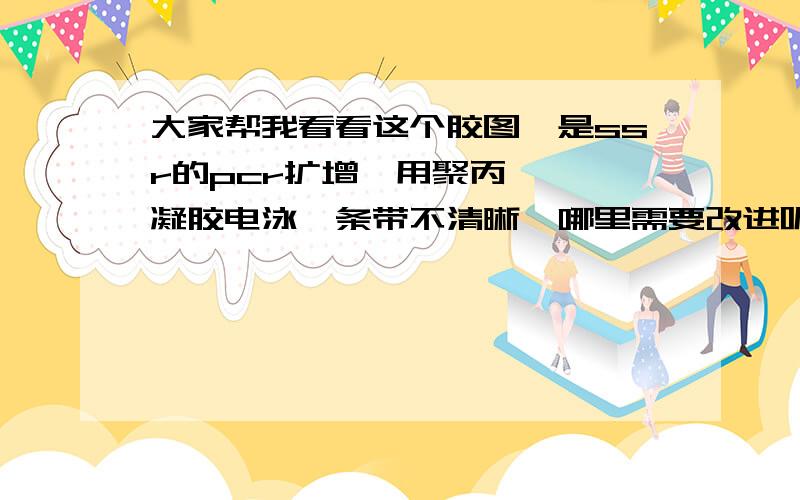 大家帮我看看这个胶图,是ssr的pcr扩增,用聚丙烯酰胺凝胶电泳,条带不清晰,哪里需要改进呢?