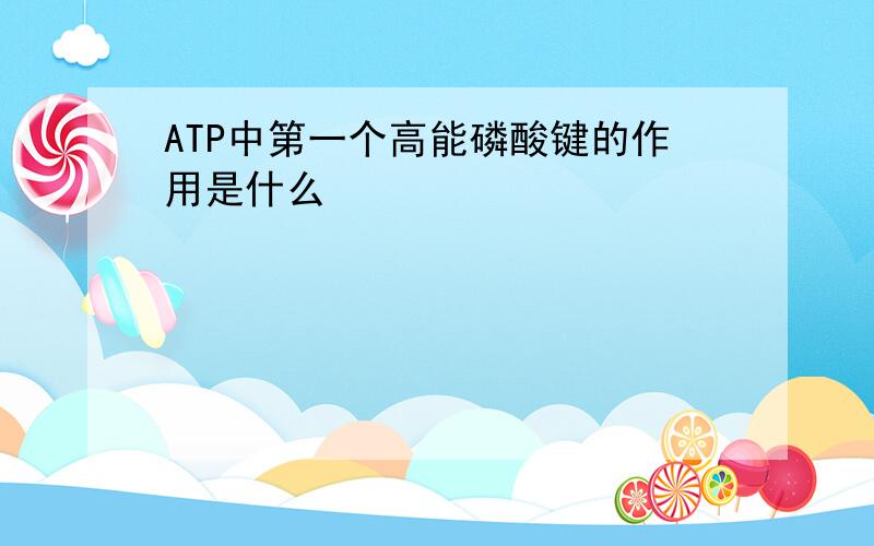 ATP中第一个高能磷酸键的作用是什么