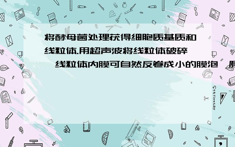 将酵母菌处理获得细胞质基质和线粒体.用超声波将线粒体破碎,线粒体内膜可自然反卷成小的膜泡,原来内膜的内侧面位于膜泡的外表面.下列四支试管在适宜温度下不会产生CO2的有 A葡萄糖+细