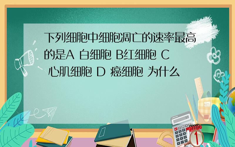 下列细胞中细胞凋亡的速率最高的是A 白细胞 B红细胞 C 心肌细胞 D 癌细胞 为什么