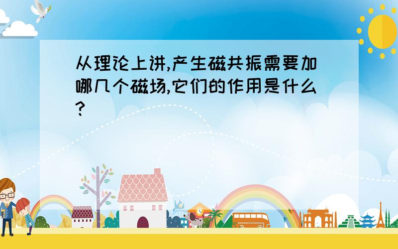 从理论上讲,产生磁共振需要加哪几个磁场,它们的作用是什么?