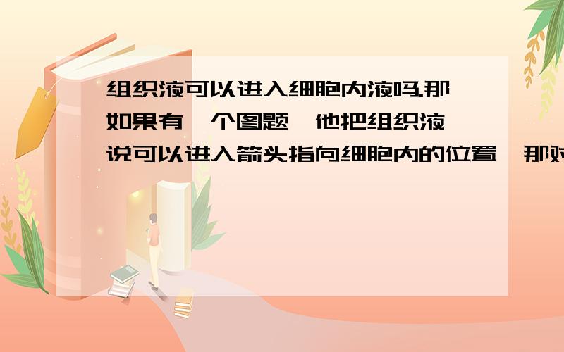 组织液可以进入细胞内液吗.那如果有一个图题,他把组织液,说可以进入箭头指向细胞内的位置,那对吗