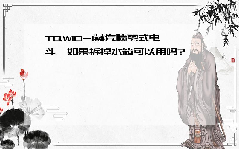 TQW10-1蒸汽喷雾式电熨斗,如果拆掉水箱可以用吗?