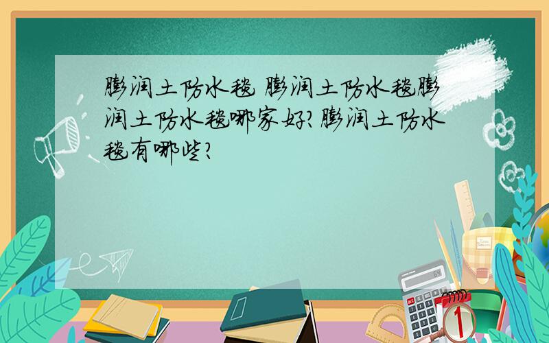 膨润土防水毯 膨润土防水毯膨润土防水毯哪家好?膨润土防水毯有哪些?