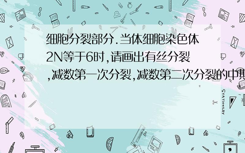 细胞分裂部分.当体细胞染色体2N等于6时,请画出有丝分裂,减数第一次分裂,减数第二次分裂的中期和后期的细胞染色体形态!最好用不同色的笔画出不同的染色体.给我图片,清晰一点,