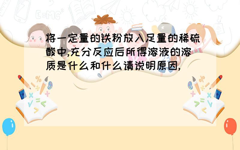 将一定量的铁粉放入足量的稀硫酸中,充分反应后所得溶液的溶质是什么和什么请说明原因,