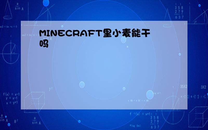 MINECRAFT里小麦能干吗