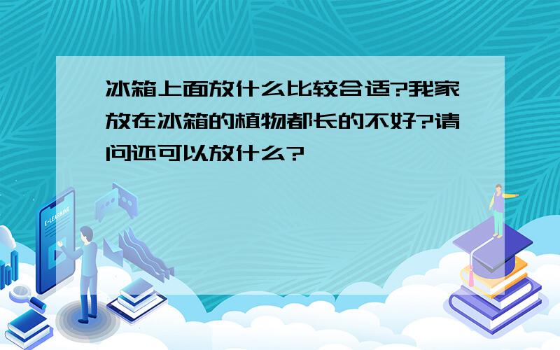 冰箱上面放什么比较合适?我家放在冰箱的植物都长的不好?请问还可以放什么?