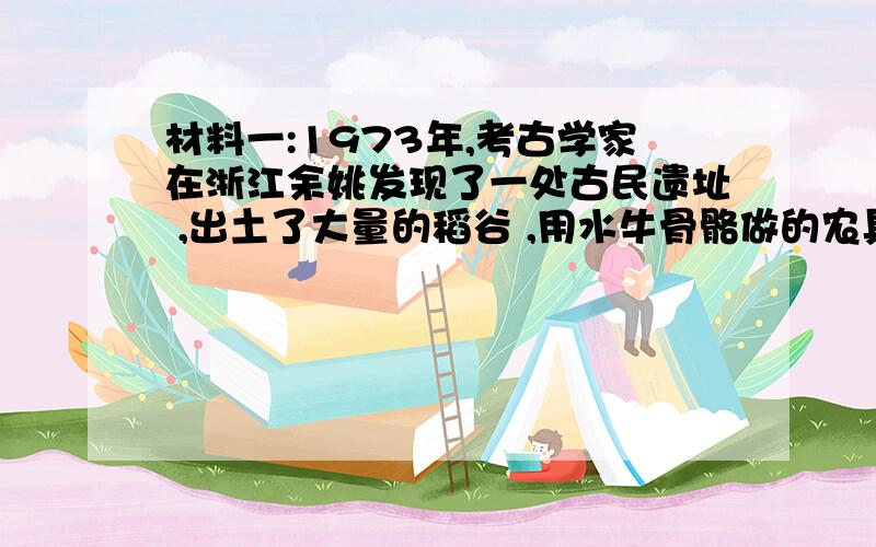 材料一:1973年,考古学家在浙江余姚发现了一处古民遗址 ,出土了大量的稻谷 ,用水牛骨骼做的农具…….