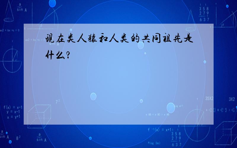 现在类人猿和人类的共同祖先是什么?