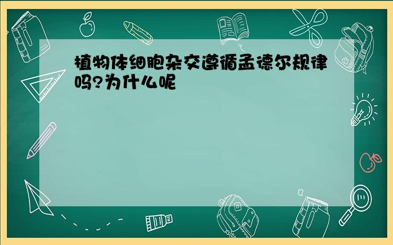 植物体细胞杂交遵循孟德尔规律吗?为什么呢