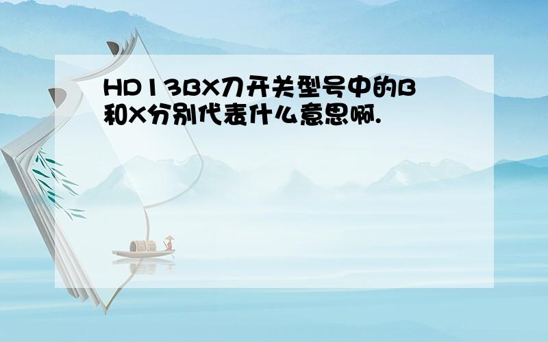 HD13BX刀开关型号中的B和X分别代表什么意思啊.