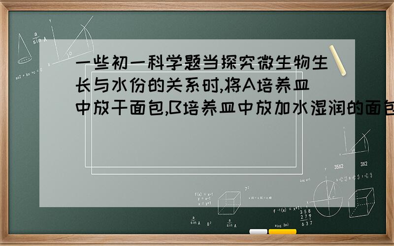 一些初一科学题当探究微生物生长与水份的关系时,将A培养皿中放干面包,B培养皿中放加水湿润的面包,C培养皿中只放入水那么C培养皿起__作用?在显微镜下观察B字标本时,看到的是什么字母?给