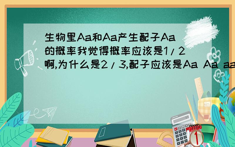 生物里Aa和Aa产生配子Aa的概率我觉得概率应该是1/2啊,为什么是2/3,配子应该是Aa Aa aa AA吧,所以Aa的概率应该是1/2呀