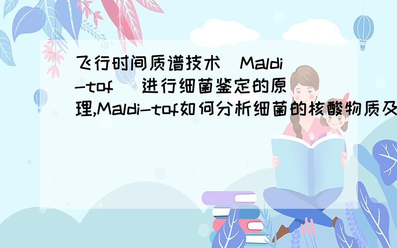 飞行时间质谱技术（Maldi-tof） 进行细菌鉴定的原理,Maldi-tof如何分析细菌的核酸物质及蛋白质的?