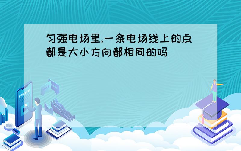 匀强电场里,一条电场线上的点都是大小方向都相同的吗