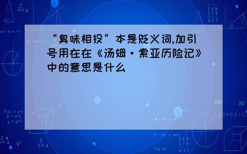 “臭味相投”本是贬义词,加引号用在在《汤姆·索亚历险记》中的意思是什么