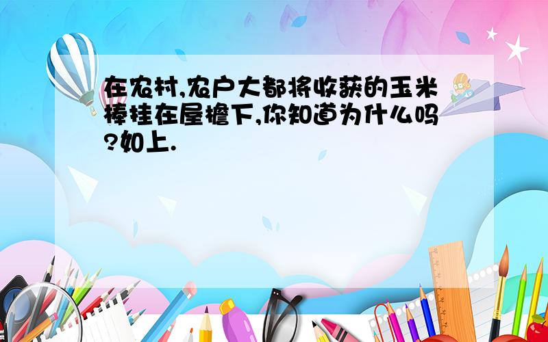 在农村,农户大都将收获的玉米棒挂在屋檐下,你知道为什么吗?如上.