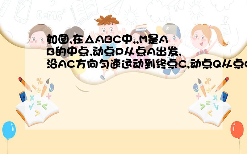 如图,在△ABC中,,M是AB的中点,动点P从点A出发,沿AC方向匀速运动到终点C,动点Q从点C出发,沿CB方向匀速运动到终点B.已知P,Q 两点同时出发,并同时到达终点,连结MP,MQ,PQ.在整个运动过程中,△MNQ的面