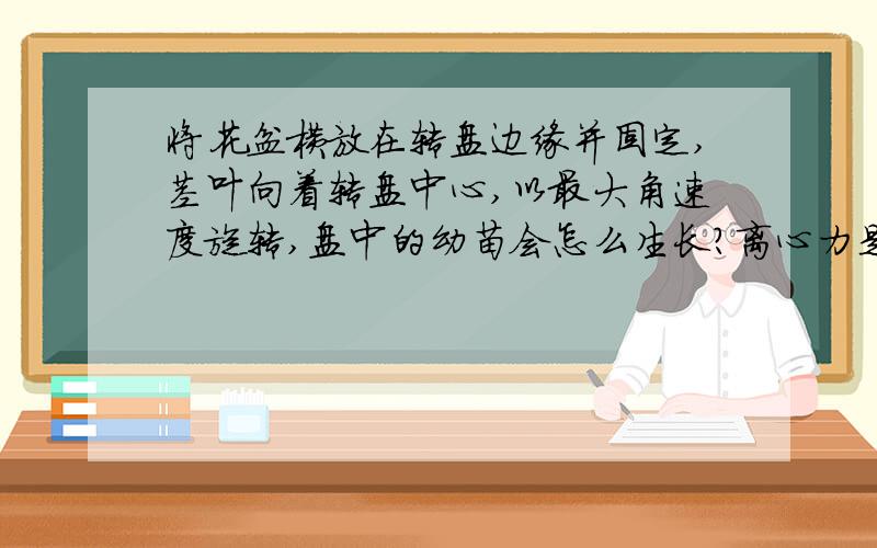 将花盆横放在转盘边缘并固定,茎叶向着转盘中心,以最大角速度旋转,盘中的幼苗会怎么生长?离心力是会使生长素向根运输得多,从而抑制根的生长,茎会缺生长素那不就不会生长了,但是答案是