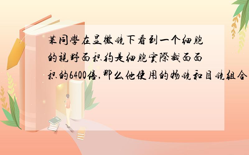 某同学在显微镜下看到一个细胞的视野面积约是细胞实际截面面积的6400倍,那么他使用的物镜和目镜组合可能