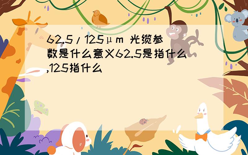 62.5/125μm 光缆参数是什么意义62.5是指什么,125指什么