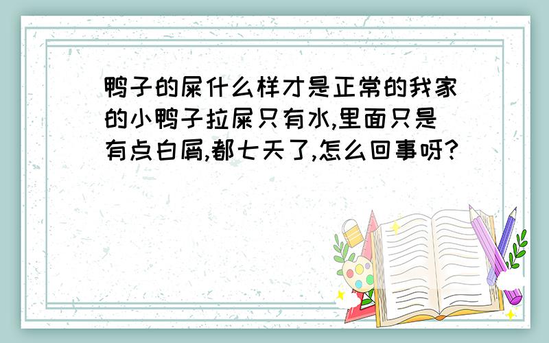 鸭子的屎什么样才是正常的我家的小鸭子拉屎只有水,里面只是有点白屑,都七天了,怎么回事呀?