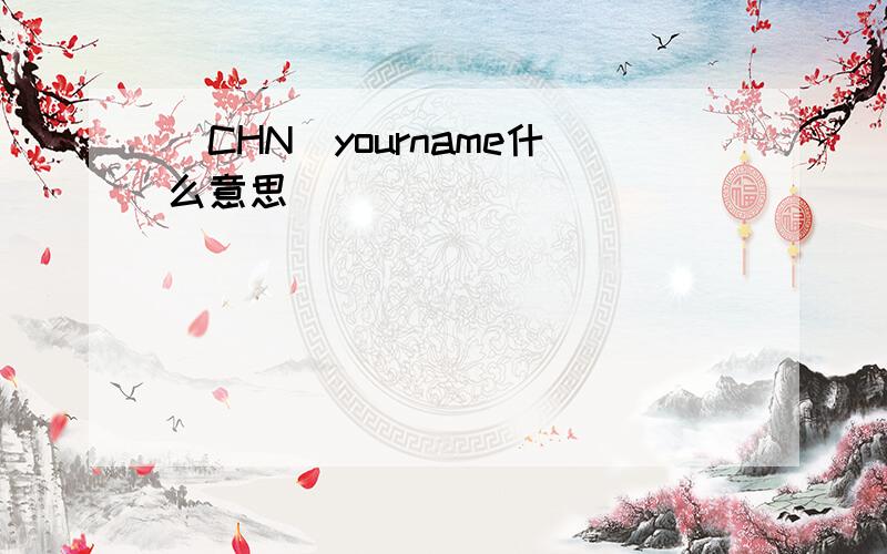 [CHN]yourname什么意思