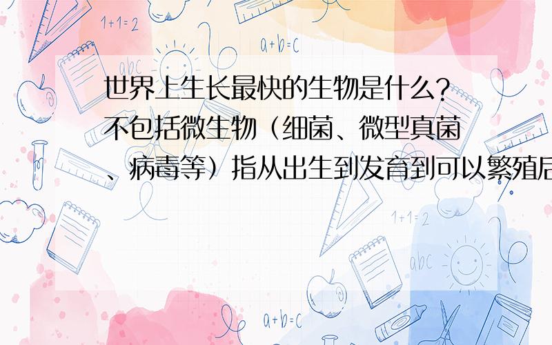 世界上生长最快的生物是什么?不包括微生物（细菌、微型真菌、病毒等）指从出生到发育到可以繁殖后代所用时间最少……