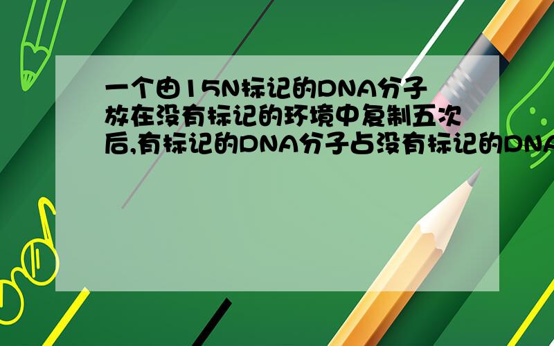 一个由15N标记的DNA分子放在没有标记的环境中复制五次后,有标记的DNA分子占没有标记的DNA分子的多少?