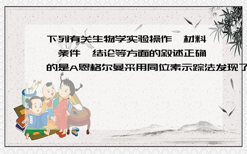 下列有关生物学实验操作、材料、条件、结论等方面的叙述正确的是A恩格尔曼采用同位素示踪法发现了光和作用的部位B在“提取和分离叶绿体色素实验”中,使用乙醇提取叶绿体中的色素C“