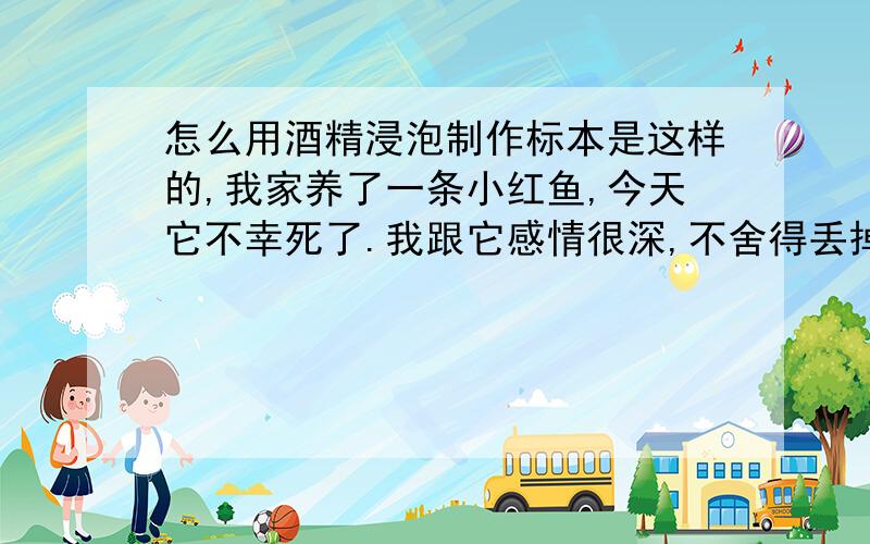 怎么用酒精浸泡制作标本是这样的,我家养了一条小红鱼,今天它不幸死了.我跟它感情很深,不舍得丢掉,就想用它制作一个标本,请大家多多指教!